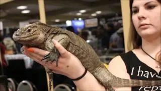NARBC Tinley Park Reptile Super Show March 2018