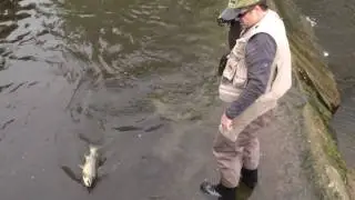 59er Rolando at untere Argen, Germany