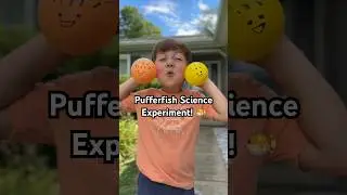 Научный эксперимент с рыбой-собакой! 🐡 #жизньмамы #научныйэксперимент #наука #обучениечерезигру #...