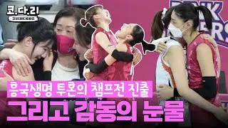 [코다리] 흥국생명 투혼의 챔프전 진출 현장! 눈물바다가 되어버렸네ㅠㅠ