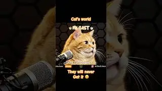 They think, they can make economy better because of the trade #trade #economic #cat #pet #talk