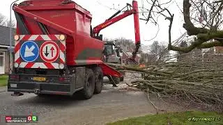 bomen kappen Oosterstraat Blijham