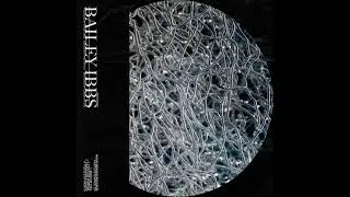 Bailey Ibbs - Unsociable Hours [NSR003]