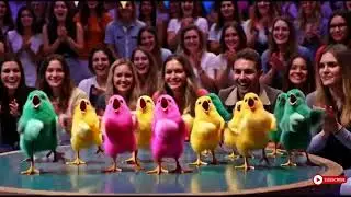 Long Slide Chicken Funny Video 2 #chicken