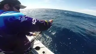 Fishing Exmouth - Deep Dropping with Giants