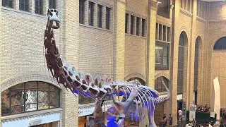 Royal Ontario Museum 2025