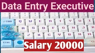 Data Entry Executive | Salary Upto 20000 | Typing | #Semma Jobs | Excel | Back office
