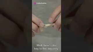 Grammar Myths Unlocked: Episode 2