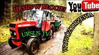 Ursus w błocie  czyli Wywóz drzewa z lasu Ursus 912