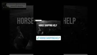 Your Ultimate Guide to Horse Shopping Help Course! | Don&rsquo;t Miss Out! #equinelearning #horsebuying