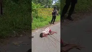 perang suku di Distrik kwamki Narama kabupaten Mimika