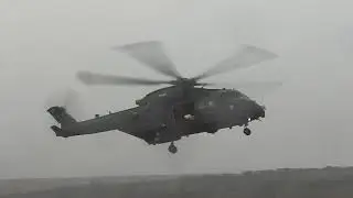 Merlins over Belstone, Dartmoor
