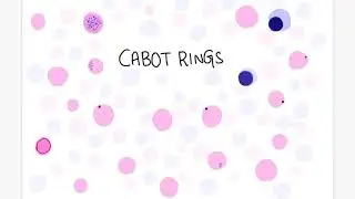 Cabot ring inclusions