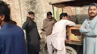 Not Clean Galiyan in Dera Ghazi Khan Jampur Road DG khan