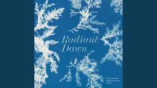 2 Choruses, Op. 68: No. 1. Calme des Nuits