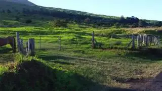 Maui Thompson Ranch Rd.