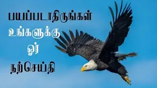 பயப்படாதிருங்கள் உங்களுக்கு ஒரு நற்செய்தி #சத்தியமும் ஜீவனும்#Tamil Christian Christmas Message