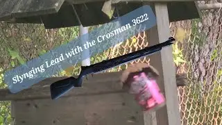 Slynging Lead with the Crosman 3622