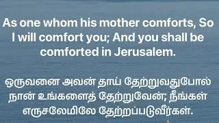 JFM-English-May 11,2025-Isaiah 66:13