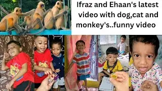 Ifraz and Ehaan's latest video with dog,cat and monkey #youtubevideo #funny #viral