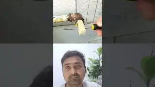 Elbow Me Thread Tut Jata He To Kaise Nikaltahe #ytshorts #elbow #pipe
