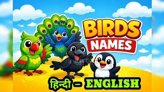 Birds Name for Kids | Learn Birds in Hindi & English | Kids Learning Video