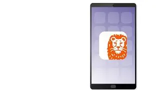 ING Credit Card &ndash; How to manage your Orange One