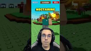 The Nectarine in Roblox Grow A Garden