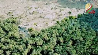 Scenes from Arqi, Qurayatمناظر من #عرقي قريات#قريات