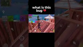 Что это за жук 💔