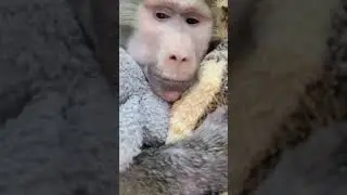 Как победить страх?🤣няня научит!!!