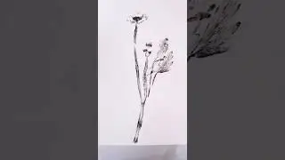 Buttercup monoprinting