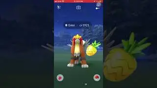 Entei without Raid Pok&eacute;mon Go | How to catch Entei | shorts | prvn3122