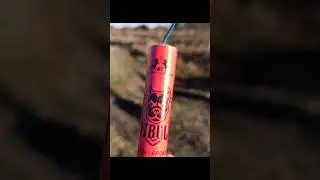 Петарды Pitbull 30g