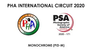 Open Monochrome YELLOW SALON PHA Circuit SGIPL 1