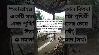 ❝আল্লাহর পথে একটি সকাল কিংবা একটি সন্ধ্যা ব্যয় করা গোটা #music #entertainment #bollywood #coversong