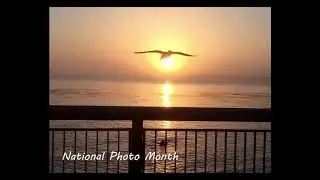 May is  National Photo Month - Photos from the Community