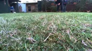 Blade 350 QX 2 First Flight. Fish eye lens correction
