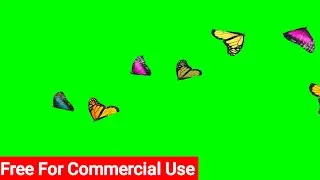 Spring Butterflies Green Screen