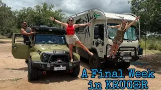 Our FINAL Week in KRUGER  (After the Floods)