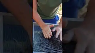 We've improved our germination rates BIG TIME just by sifting