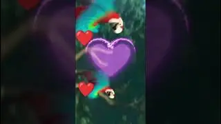 Dil jhoom jhoom song#gadar2  #shorts #viral #trending #shortsfeed #Digital active shanvi @❤️🥰