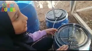 Stem Cures - Water Filtration System - Za'atari Refugee Camp