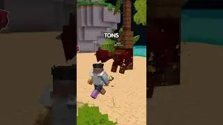 Is Minebox the next Hypixel? #minecraft  #minecraftserver