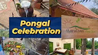 Pongal celebration at marutham village resort | chennaila gramathu resort ah | Pongal 2026 #marutham