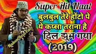 Nadeem Raza Faizi New Naat (2019) || Bulbul Tere Hoto Pe Ye Kaisa Tarana Hai Dil Jhoom Gaya