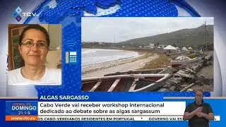 Cabo Verde vai receber workshop internacional dedicado ao debate sobre as algas sargassum