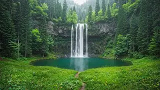 Healing Sound Nature 🌱 Soothing Music Reset Your Nervous System & Relieve Stress