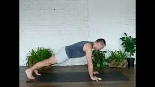 Chaturanga | Plank play