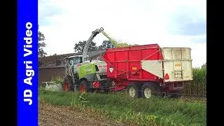 Mais hakselen + Kuilwerk | Fendt | JCB | Claas | van Gerestein | Maish&auml;ckseln | Maize